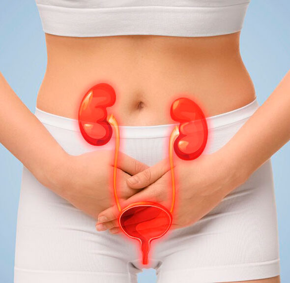 Infecciones urinarias de repetición